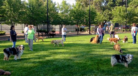 Off leash dog park. Dogs in parks · Dogs Allowed: Dogs may be off leash · Dogs on Leash: Dogs are allowed but must be on leash at all times · No Dogs: Dogs are not permitted. 