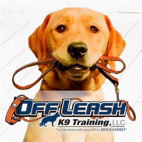 Off leash k9. Off Leash K9 Training employs off-leash dog trainers with significant experience and training from the US Marine Corps, DOD, US Secret Service, or the private sector! Our Board & Train programs guarantee to produce 100% Obedience and 100% Off-Leash dogs! We train your dog to have the same level of obedience as … 