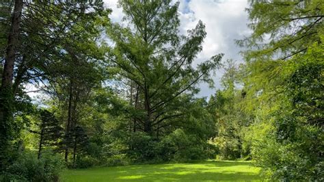 Off the Beaten Path: Pine Hollow Arboretum