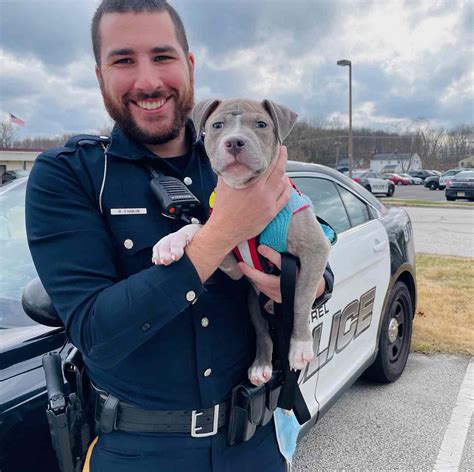 Officer adopts dog he found abandoned in a stolen vehicle
