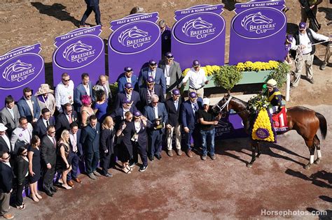 Official 2024 Breeders’ Cup Pre-Entries - Brisnet