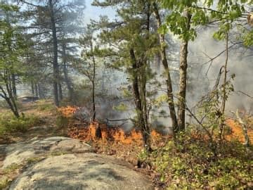Officials say fires at Lynn Woods Reservation were intentionally set, seek public’s help as investigation continues
