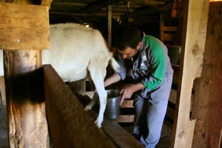 Offro lavoro in montagna e alpeggio - Ruralpini