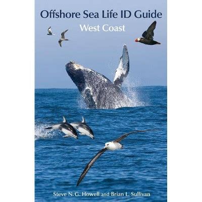 Offshore sea life id guide von steve n g howell. - Local history transnational memory in the romanian holocaust studies in european culture and history.