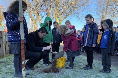 Ofsted South Petherwin Community Primary School