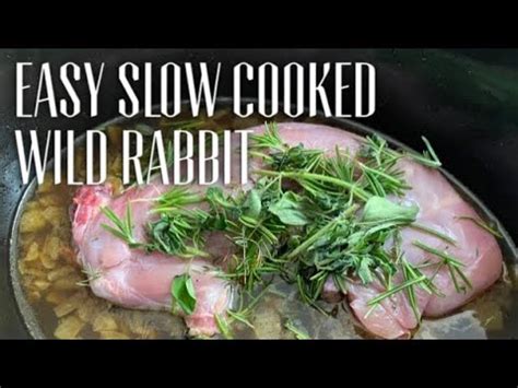 Often asked: How To Cook A Rabbit In A Slow Cooker? - Rabbits