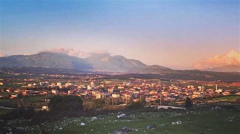 Oglananasi Halı ve Koltuk Yıkama