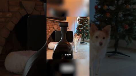 Ogmen Halı ve Koltuk Yıkama