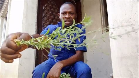 Ogun amudo obo.  #onamila #drsodiqonamila Keywords: Ogun ogun Amudo ati Awure todaju - Free downloa...