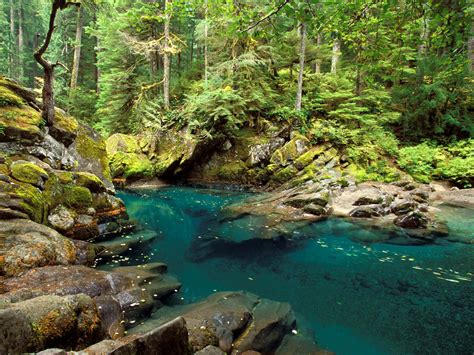 Ohanapecosh. See all 14 reviews... Park. Mount Rainier National Park. State. Washington. Country. United States. Phone Number. 360-569-2211 x6627. 