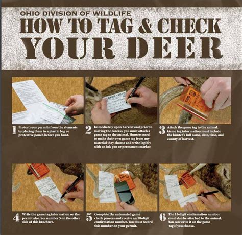 Ohio deer tag cost 2022. Type in your search keywords and hit enter to submit or escape to close 