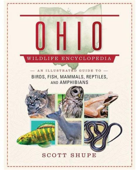 Read Ohio Wildlife Encyclopedia An Illustrated Guide To Birds Fish Mammals Reptiles And Amphibians By Scott Shupe