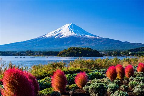 6 days ago ... Mount Fuji in Oishi Park on the shores of