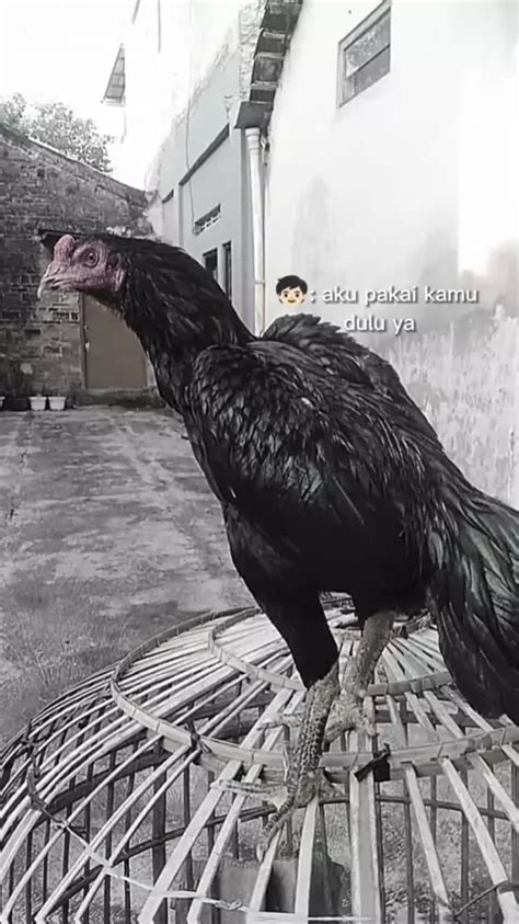 Stasiun Bandung