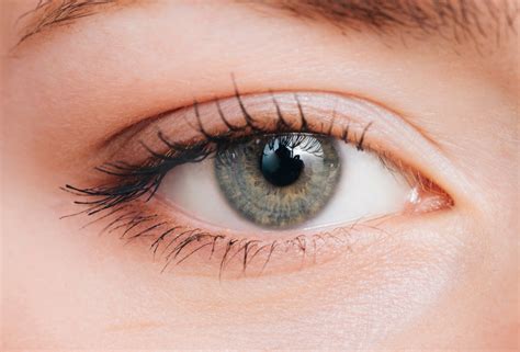 Ojos. 2. Empezaron en los animales. Otro de los datos curiosos de los ojos, es que se cree que se desarrollaron por primera vez en los animales, de una forma muy básica, hace alrededor de 550 millones de años. 3. Músculos rápidos. El ojo humano cuenta con los músculos más rápidos del cuerpo. 
