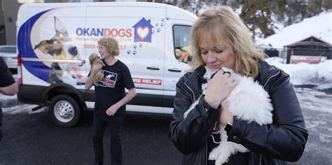 Okandogs - This page is dedicated solely to the cause of Lost and found pets of Okanogan County, and area Okandogs has been serving for the past 9 years. No violence, no bullying, and …