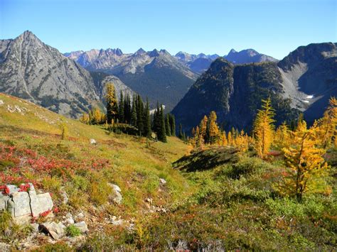 Okanogan-Wenatchee National Forest - Shaser Creek Road …