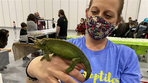 Eventbrite - Cold Blooded Expos presents Oklahoma Reptile Show - 