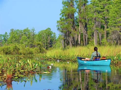 Okeechobee swamp. Photo: Mac Stone. Lake Okeechobee is the heart of the Central Everglades - the historical gatekeeper between the watershed from the north and the Southern Everglades and Florida Bay to its south. Before American settlers altered South Florida’s drainage in the early 20th century, rain that fell between Orlando and the Lake would drain slowly ... 