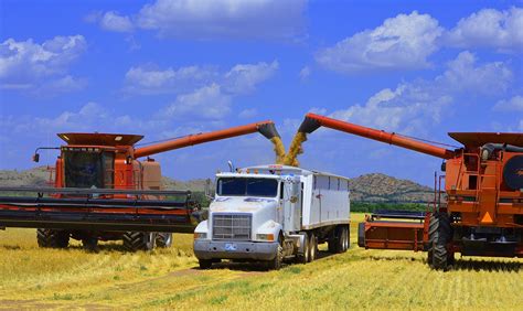 Oklahoma Wheat - agclassroom.org