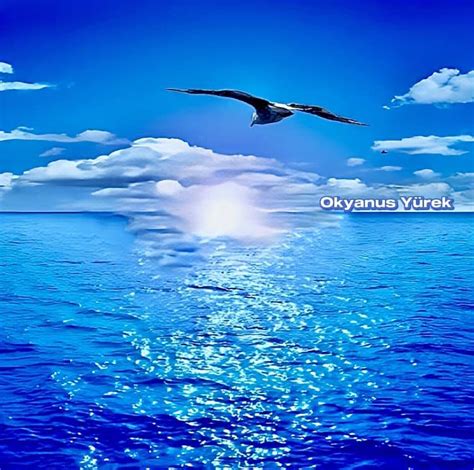 codini.rgarabwor.edu.pl. 