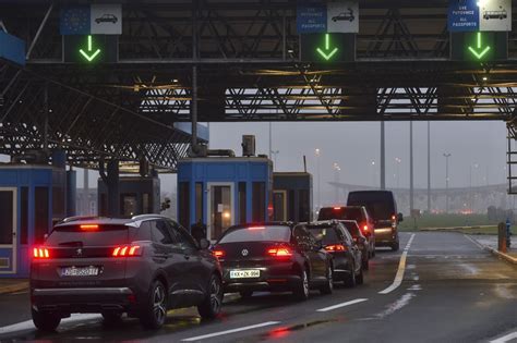 Olanda Noua oferea undă verde fungilor psihedelici pentru tratarea stării de tristețe