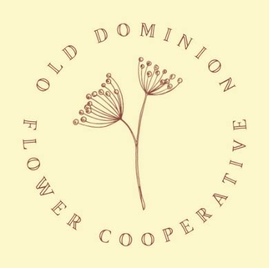 Old Dominion Flower Co. Leesburg VA - Facebook