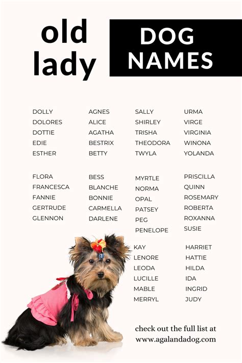 Old Lady Names For Pets