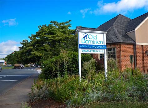 Old dominion animal hospital. Things To Know About Old dominion animal hospital. 