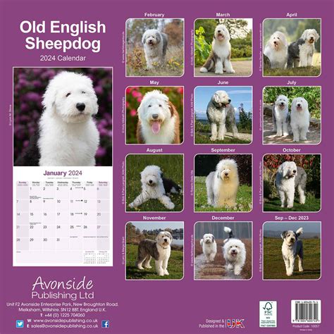 Old english sheepdogs 2008 square wall calendar. - Tu casa es tu salud manual de geobiologia.
