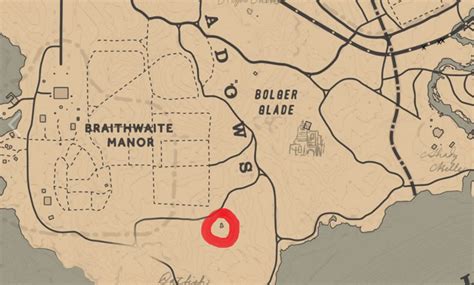 This is actually my second run in RDR 2, and in the first one I got a panther no problem. They seemed easy to find. But this time I cannot seem to get one to spawn. The two locations should be south of Braithwaite manor near Old Harry's Fen, and also in the swamp near Lagras and Lakay.. 