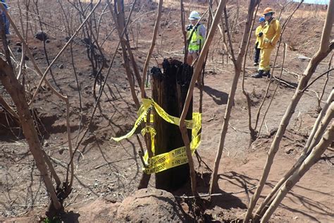 Old tire, power pole hold clues to deadly Maui wildfire
