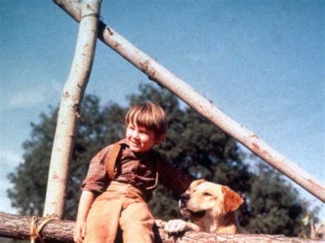 Old yeller old yeller. Lyrics. Gil George. Performers. Jerome Courtland. Video. Source. " Old Yeller " is the title song of the 1957 film of the same name . Lyrics. Opening version. Closing (Alternate … 