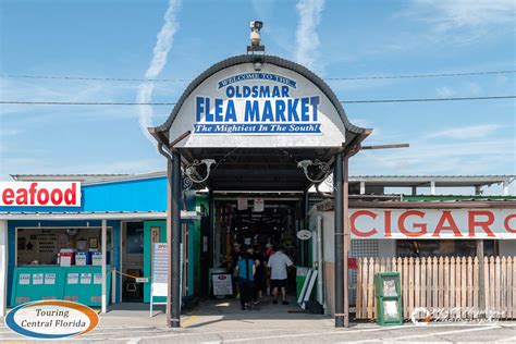 Oldsmar Flea Market. 180 Racetrack Road Oldsmar, Fl 34677. Our building is on the Back Left Side Follow Power Lines Back and park in front of our building. CONTACT US: Please use the messenger Icon in the bottom right to send us a message.