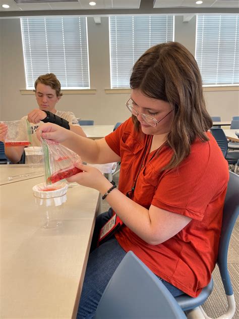 Ole Miss Nanoengineering Summer REU Program REU