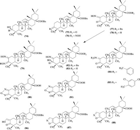 Oleanolic Acid - an overview ScienceDirect Topics