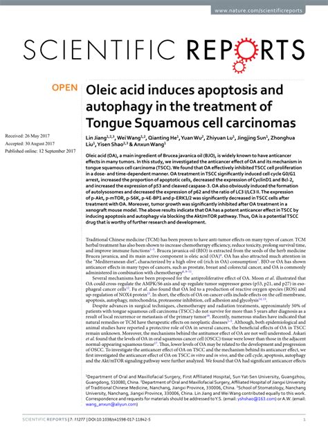 Oleic acid induces apoptosis and autophagy in the treatment of