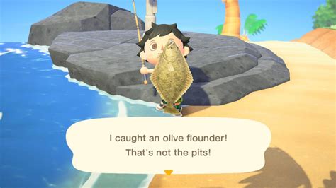 Olive Flounder Animal Crossing Price