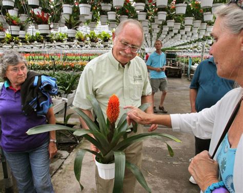 Olive Hill Greenhouses U.S. Import Records