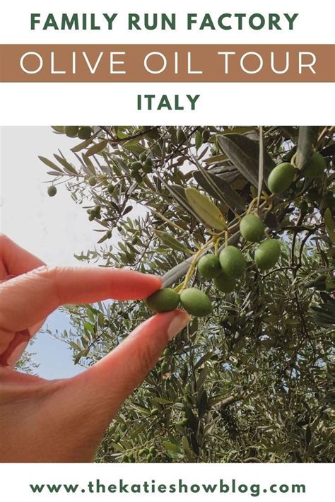Olive Oil Run Onlyfans Leak