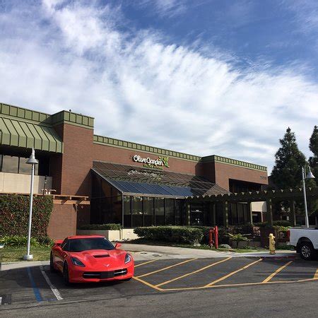 Olive garden torrance. Things To Know About Olive garden torrance. 