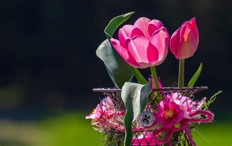 Olive hill funeral homes.  We understand that during the difficult Find all fune...