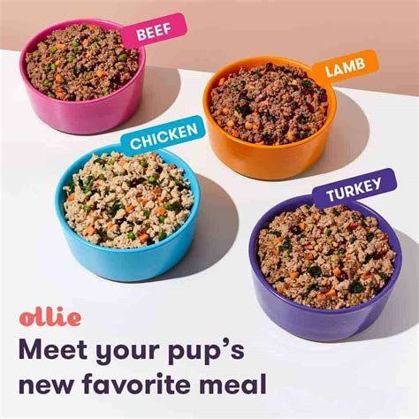 Ollie food for dogs. Jan 2, 2024 · Ollie was started in 2016 by three dog lovers — Alex Douzet, Gabby Sloane, and Randy Jimenez — when they noticed the dubious ingredients in many popular dog food brands and saw the value in creating fresh, homemade dog food. The company has grown rapidly since, and now the team is split between New York and Pennsylvania, creating its ... 