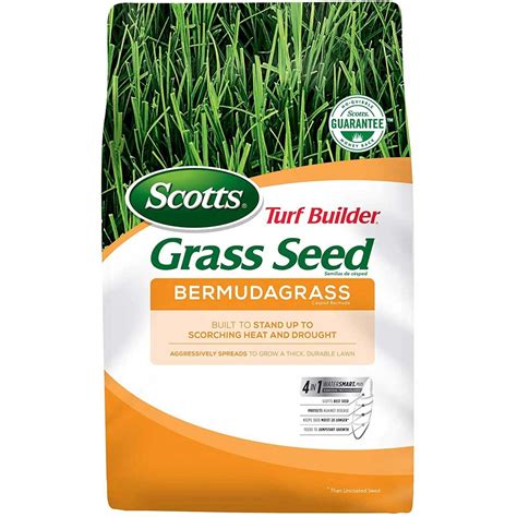 Seed a bare patch or an entirely new lawn with this