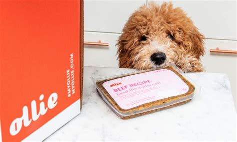 Olly dog food. Things To Know About Olly dog food. 