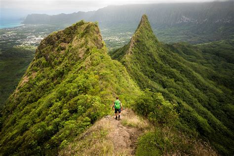 Olomana trail. Top 10 Best olomana trail Nearby in Honolulu, Hawaii. 1. Olomana Hike. “A friend recommended the Olomana hike to us. I did not know what to expect and it definitely far” more. 2. Oahu Hike. “Definitely wanted to do a hike in Oahu. I suggested the first peak of Olomana Trial and Spencer” more. 