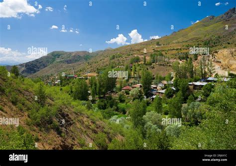 Olucak Halı ve Koltuk Yıkama
