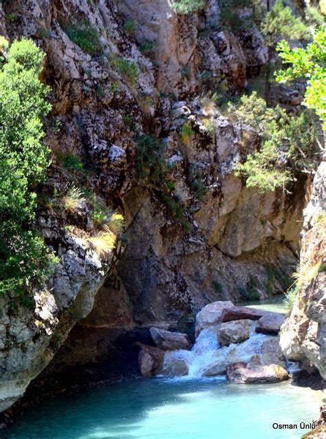 Olukbasi Halı ve Koltuk Yıkama