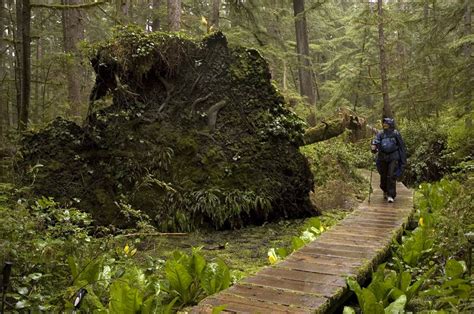 Olympic National Park: Cape Alava Loop - Backpacker