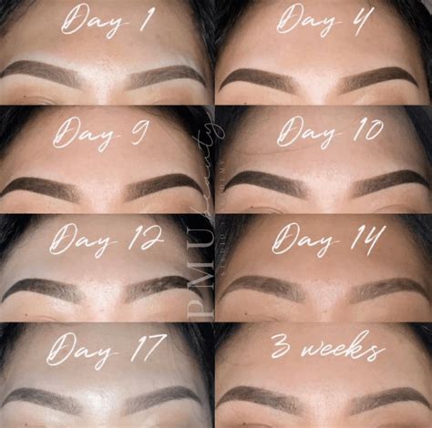 Ombre brow tattoo healing process.  Note: brows appear very dark initially but will soften ...